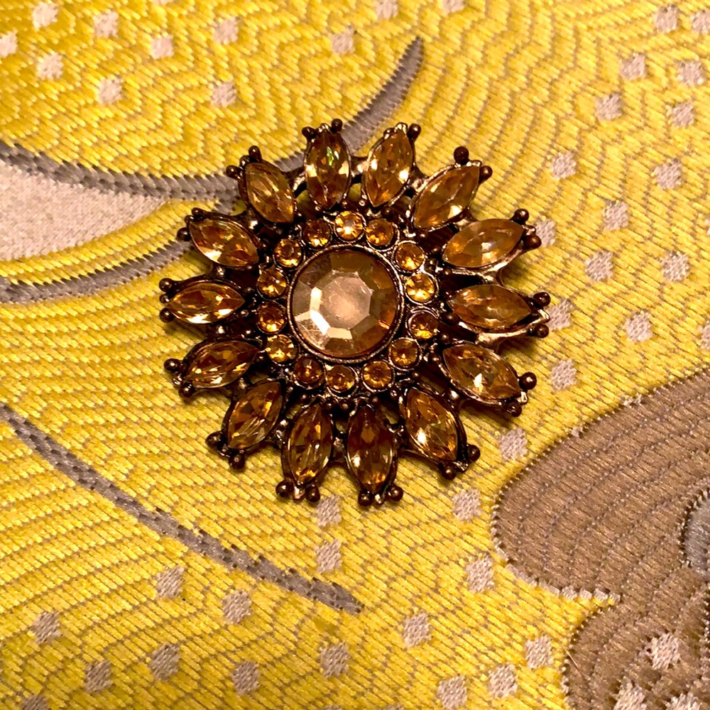 Fashion Statement Embellished Brooch